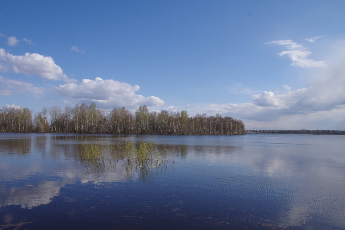 На озере - Сергей Швечков