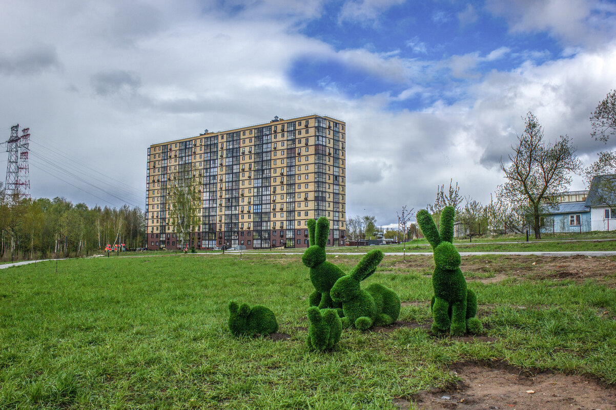 Зайки на лужайке. - Михаил "Skipper"