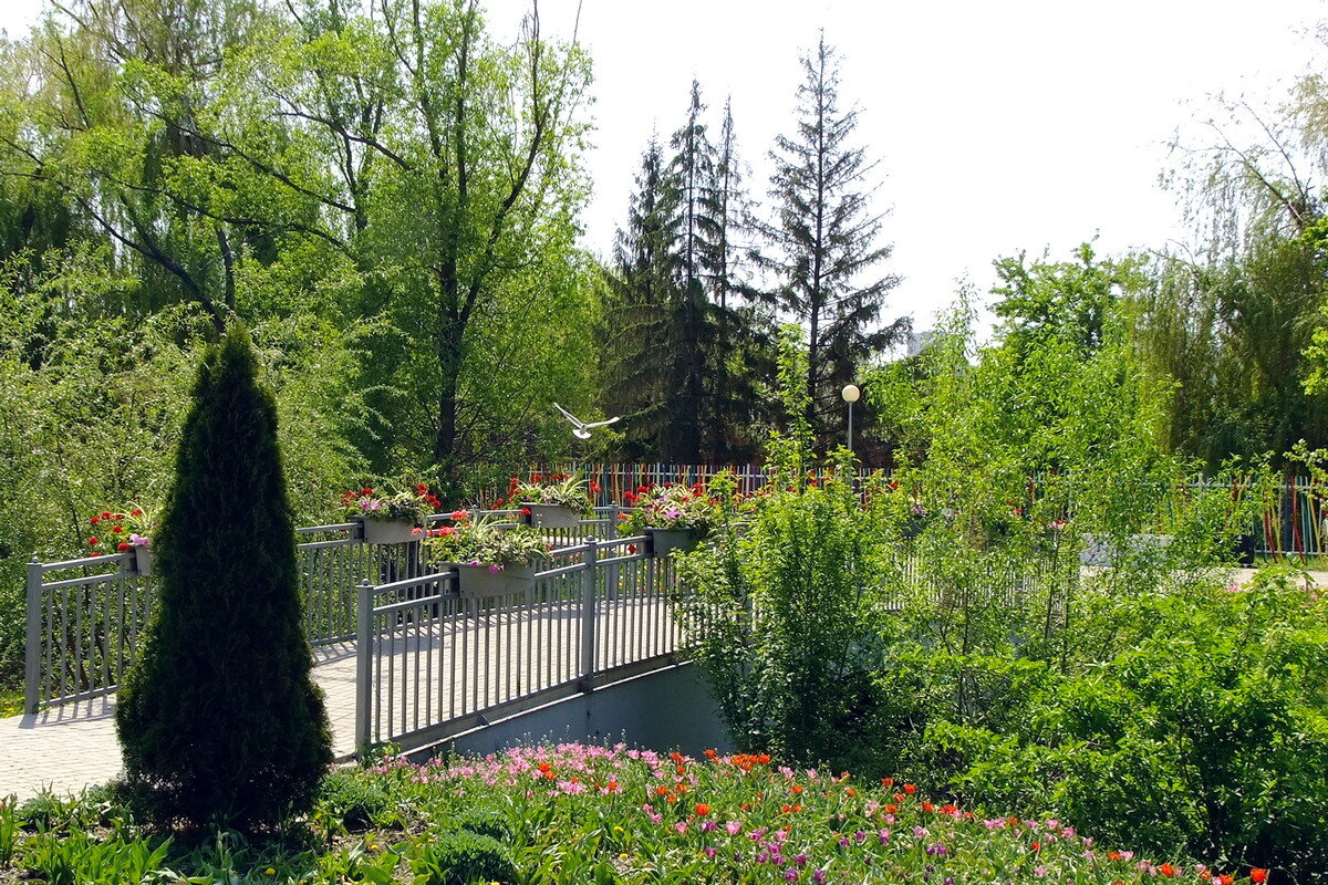 Гуляя по парку - Фёдор Меркурьев Гуляя по парку - Фёдор Меркурьев