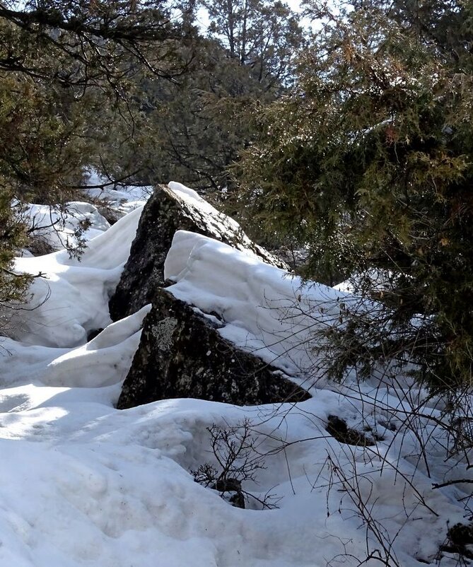 ВОСКРЕСНАЯ ПРОГУЛКА. - Виктор Осипчук