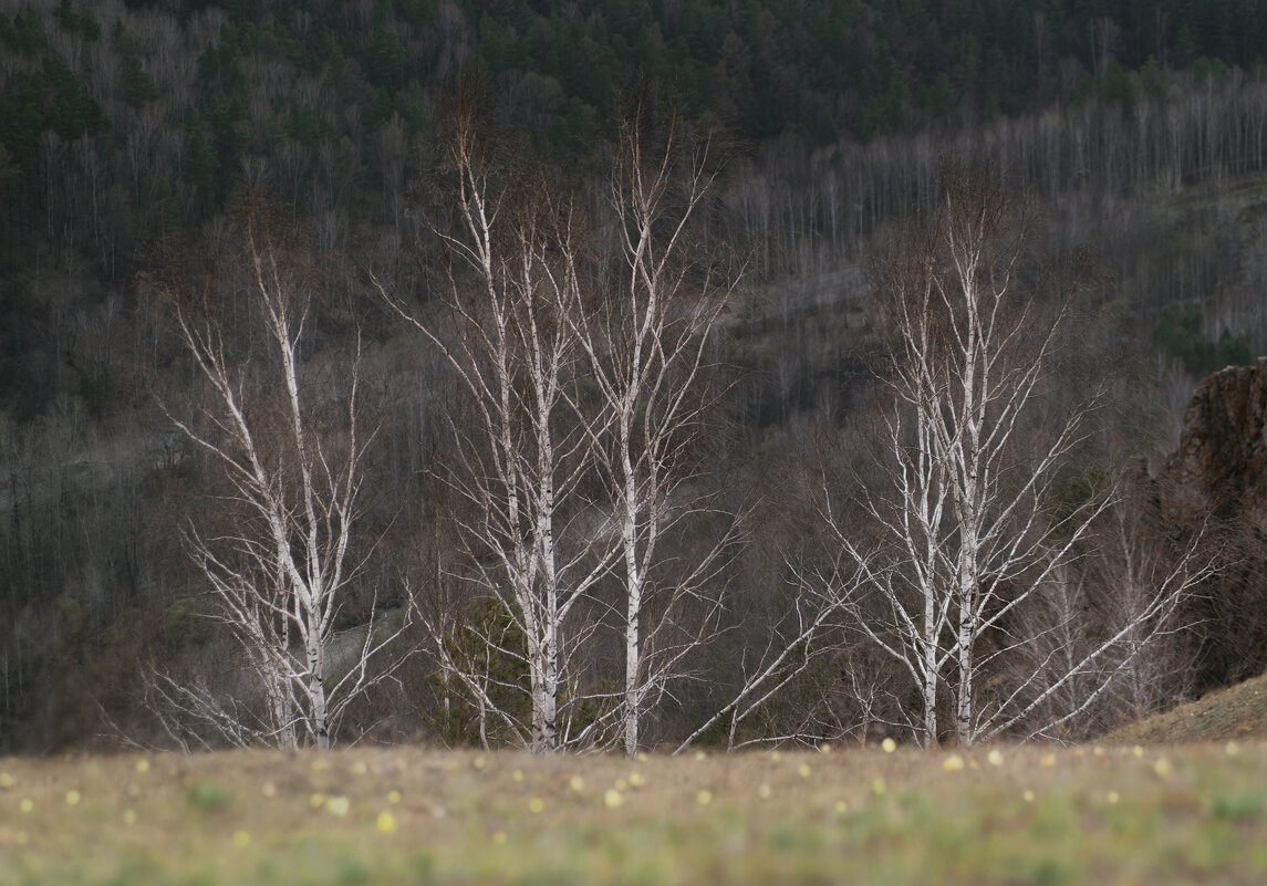 * - Александр Иванов