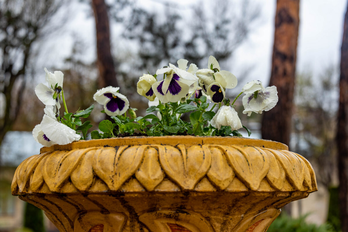 *** - Дмитрий Лупандин *** - Дмитрий Лупандин