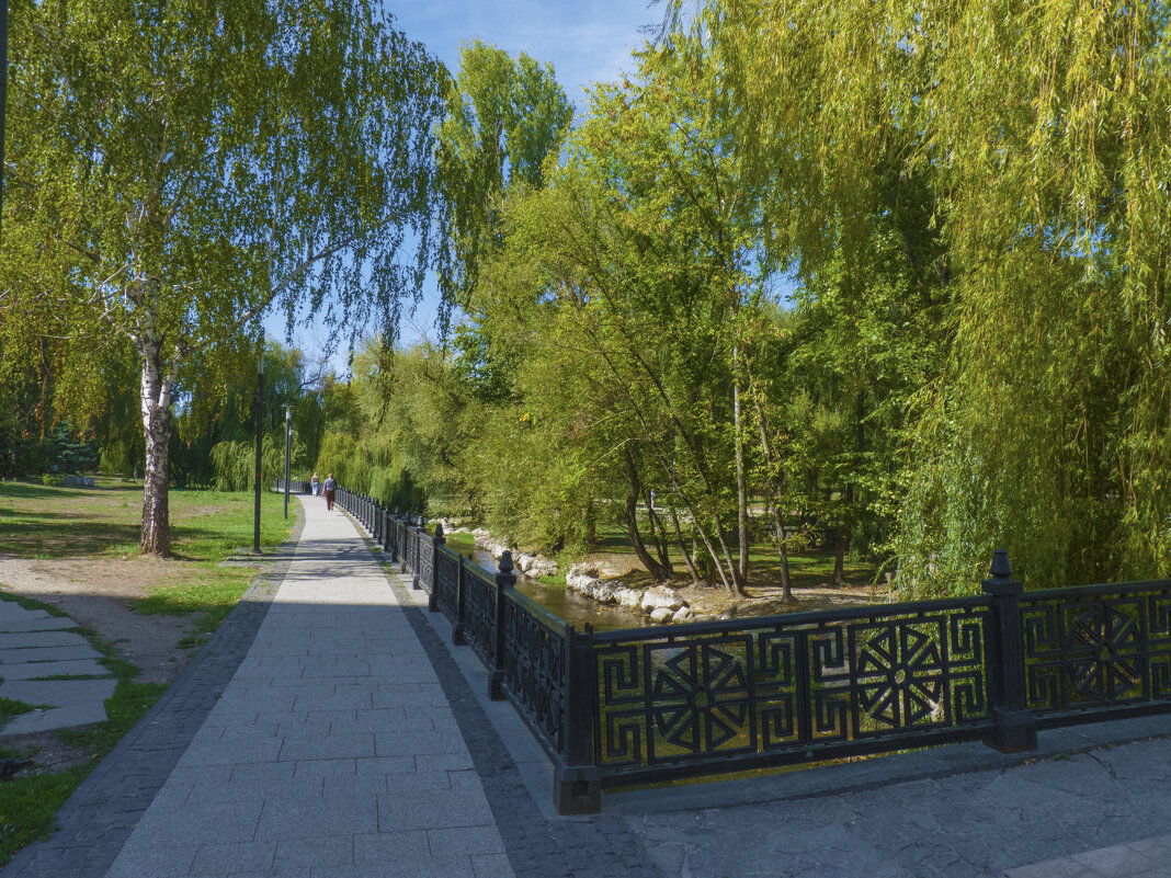 Берёзка на набережной  Салгира - Валентин Семчишин