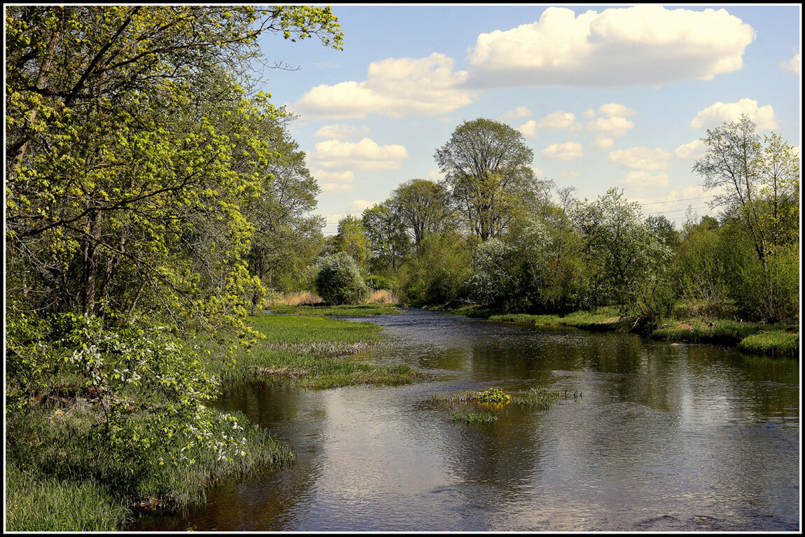 Весна идет... - Aleksandr Gal