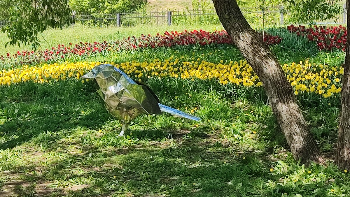 ,,, - Сергей Тимоновский