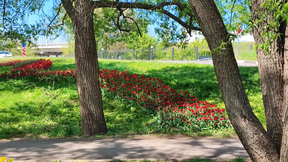 ,,, - Сергей Тимоновский