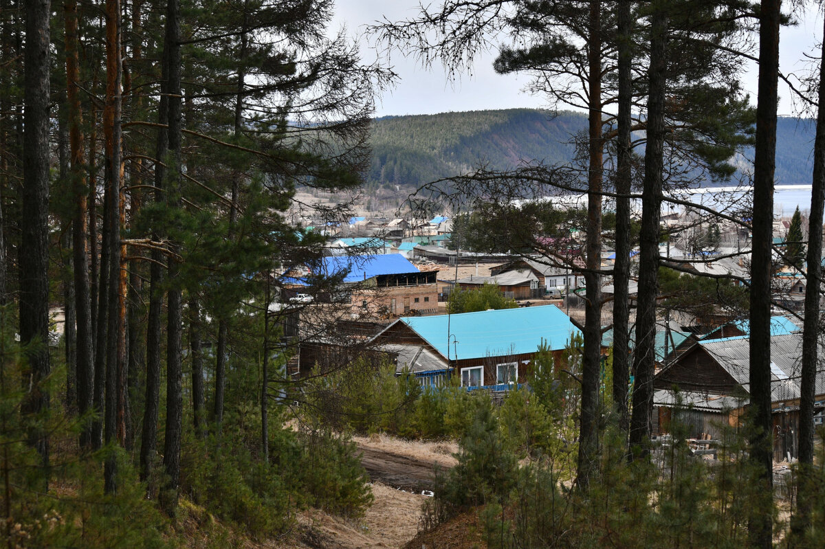 Из серии "Я из лесу вышел.." - Сергей Шаврин