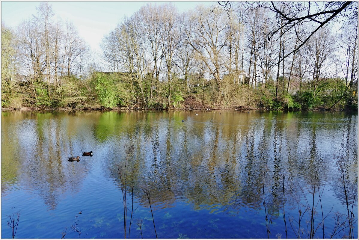 У ОЗЕРА... - Elvira E. У ОЗЕРА... - Elvira E.