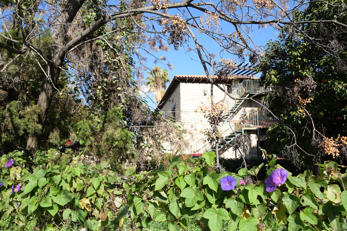 Частный дом - Oleg4618 Шутченко Частный дом - Oleg4618 Шутченко