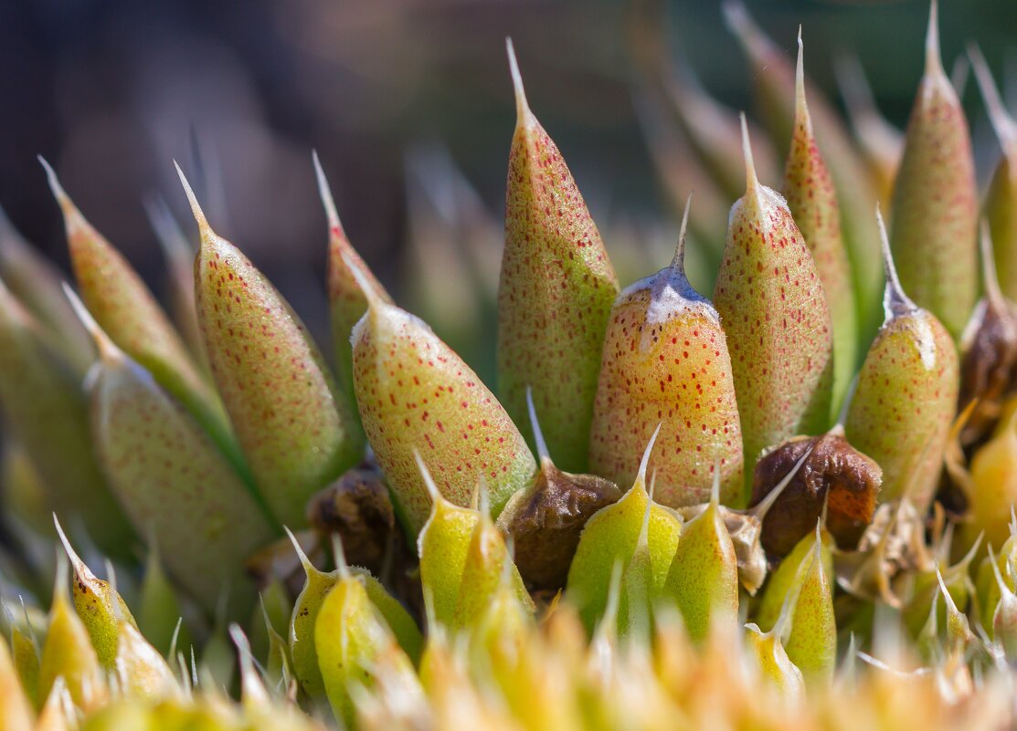 Краски лета. - Алексей Трухин Краски лета. - Алексей Трухин