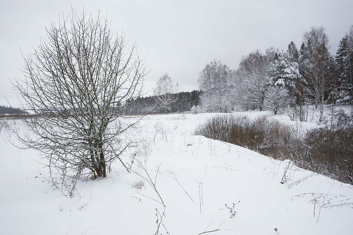 Апрельский снегопад - Сергей Курников