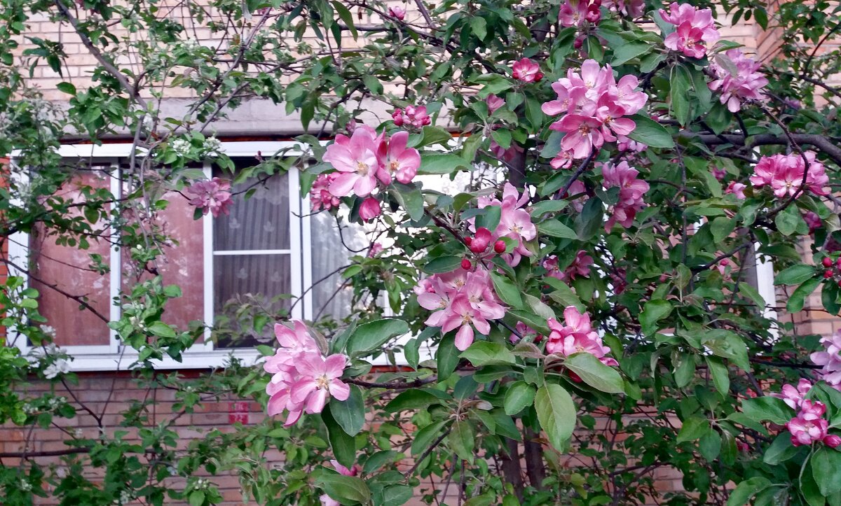 Весенние зарисовки - Galina Solovova Весенние зарисовки - Galina Solovova