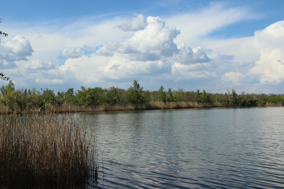 Вечер у Дона. - Виктор 
