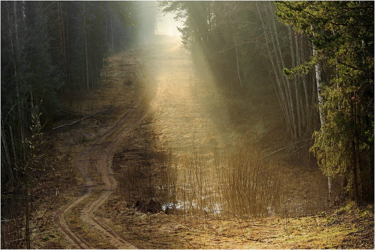 Весенний свет - Валентин Котляров Весенний свет - Валентин Котляров