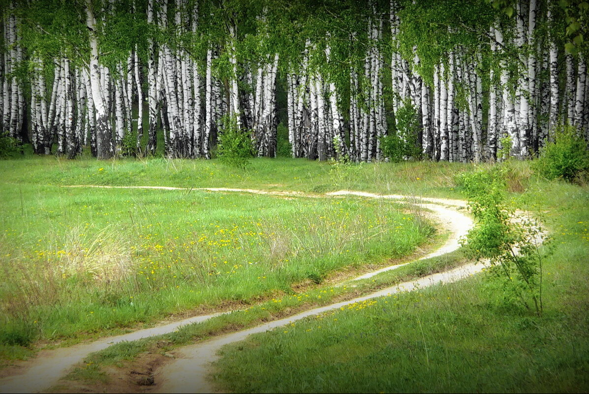 Весенний пейзаж... - Владимир Шошин Весенний пейзаж... - Владимир Шошин