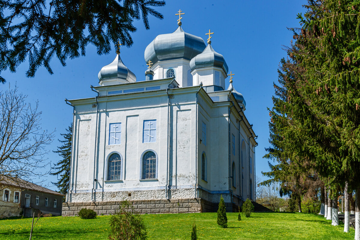 "-" - Светлана Фокша "-" - Светлана Фокша