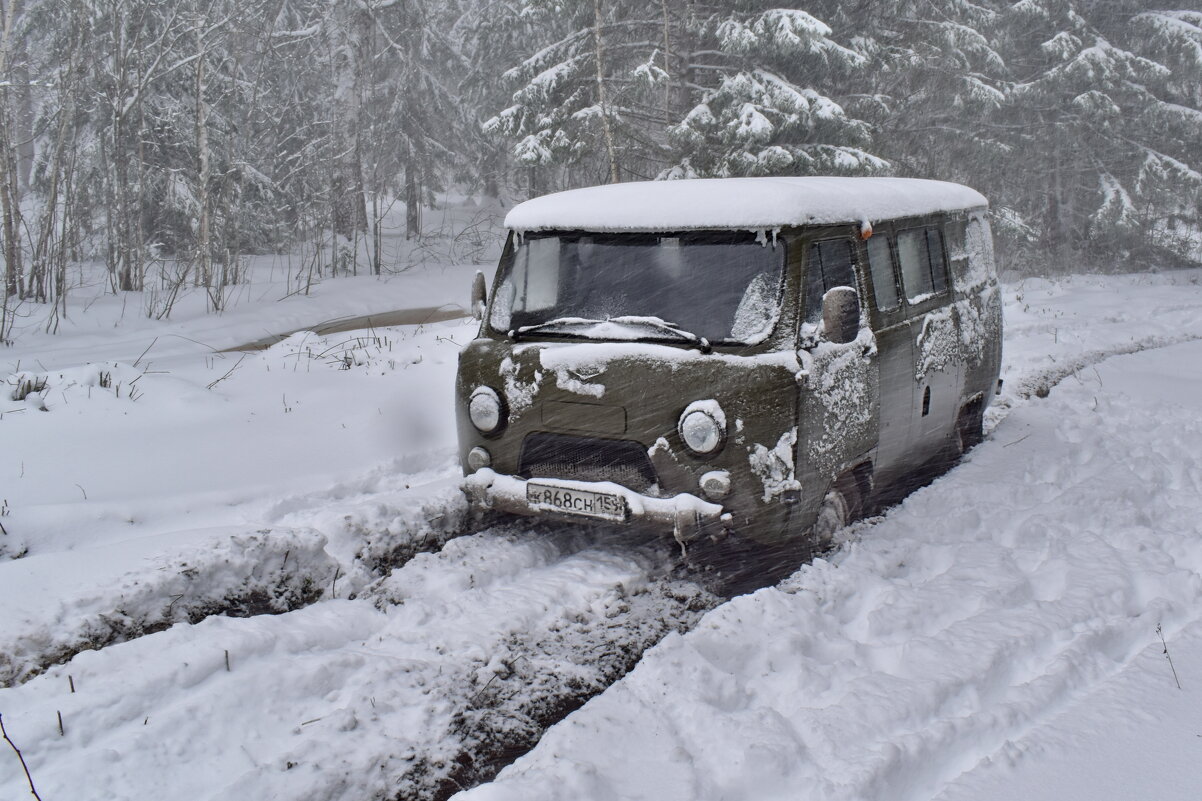 За подснежниками - Роман Пацкевич За подснежниками - Роман Пацкевич