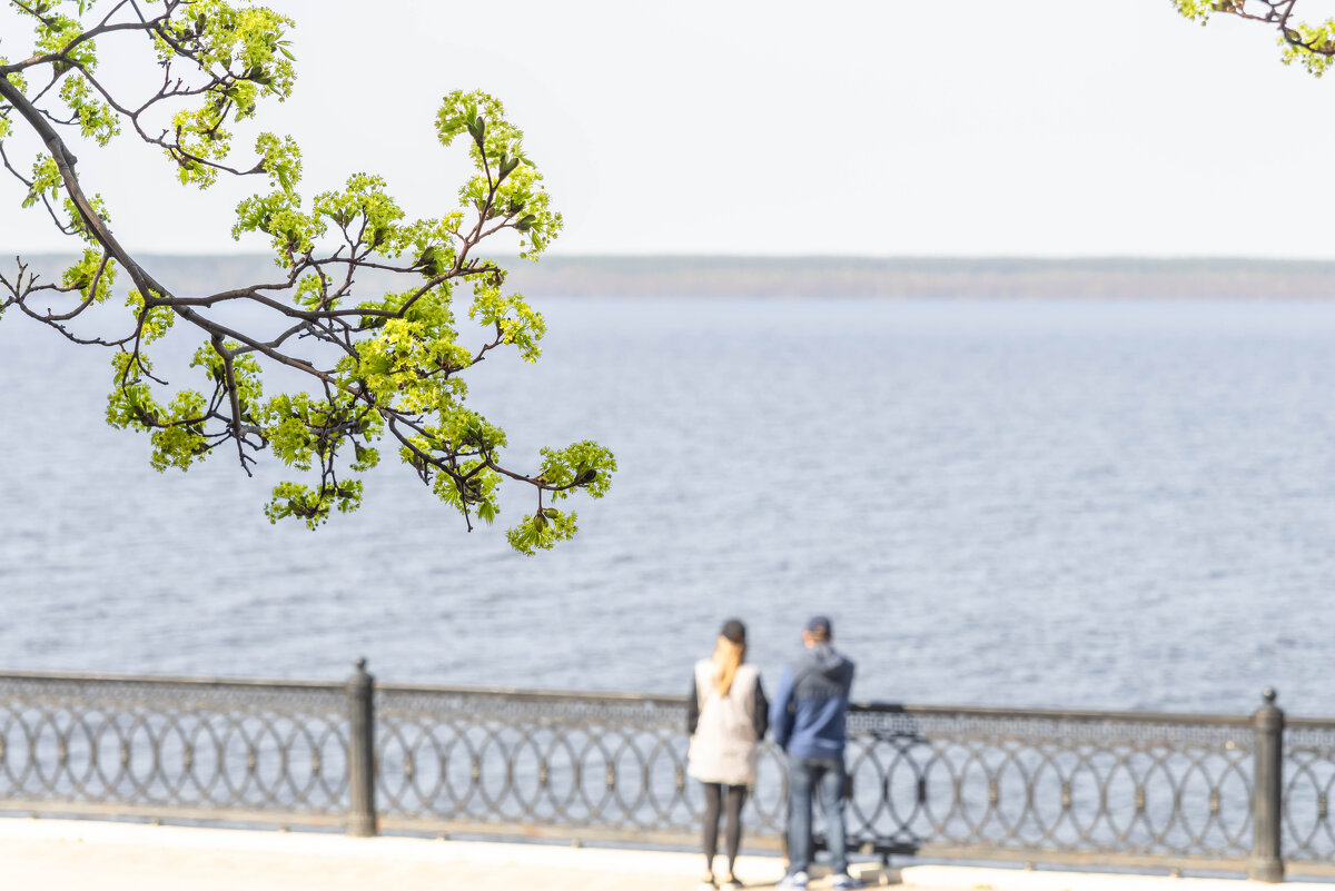 **** - Игорь Николаев