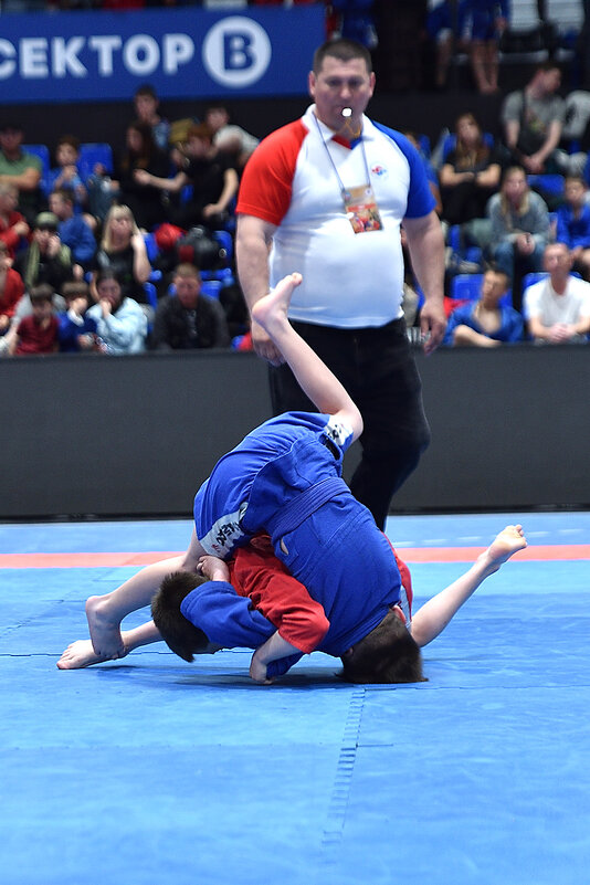 В борьбе! Самбо. - Александр Гриднев