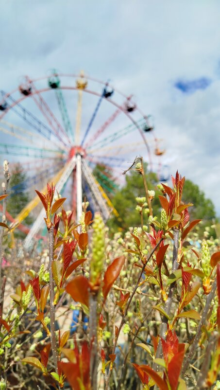 В майский праздник - светлана льдокова В майский праздник - светлана льдокова