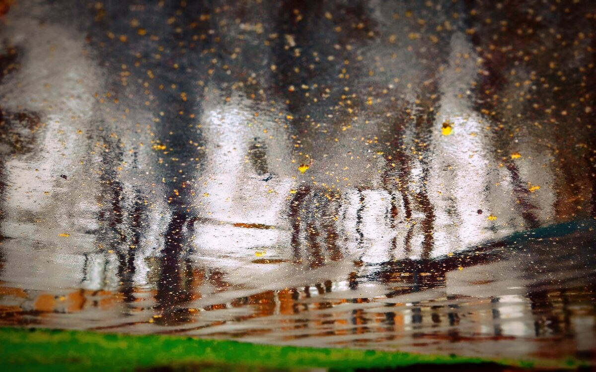 Первомай в дожде - Любовь 