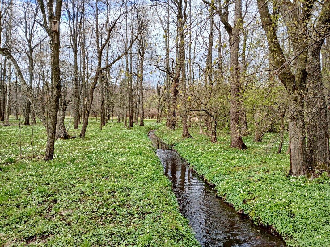 Пока красота, скорее на природу! - Лия ☼ Пока красота, скорее на природу! - Лия ☼