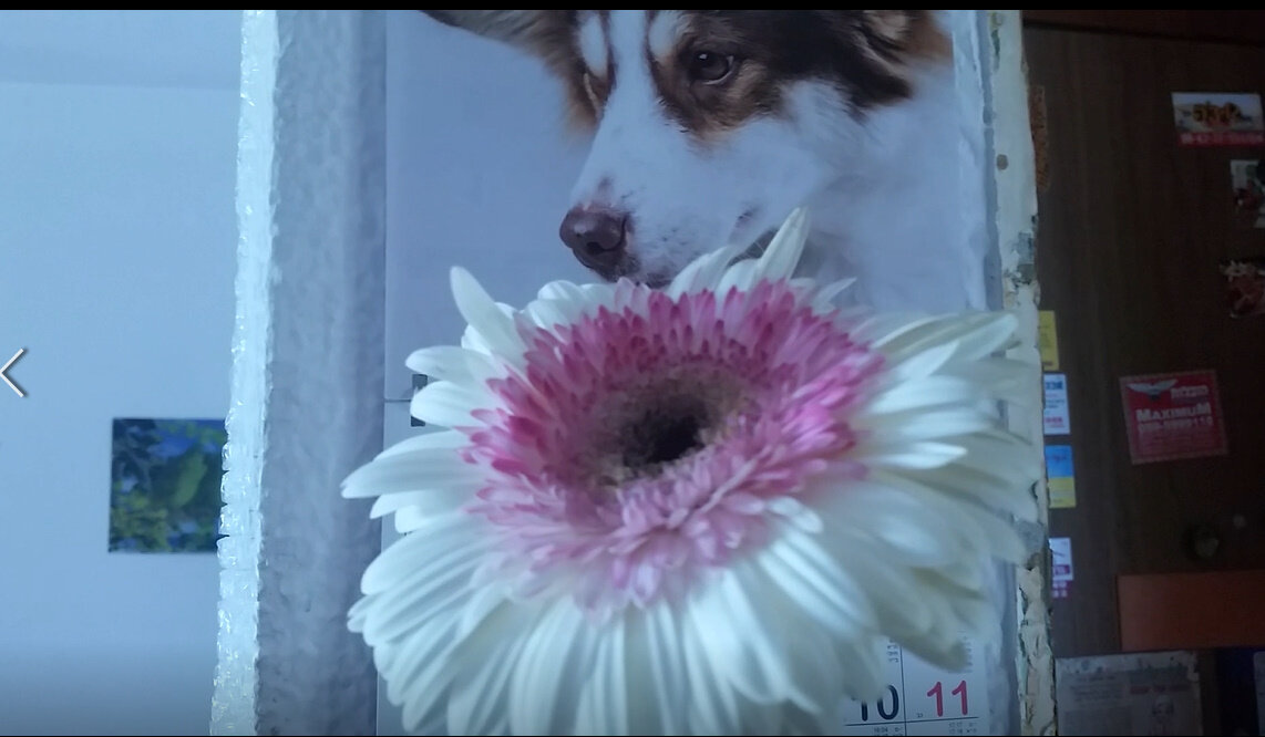 111 (66) - СТРЕН 