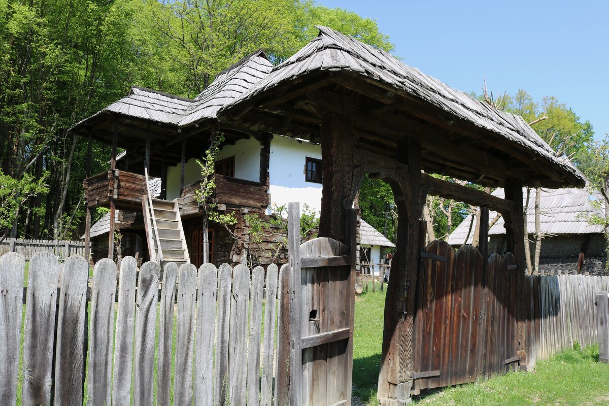 национальный музейный комплекс" Астра " - Светлана Баталий