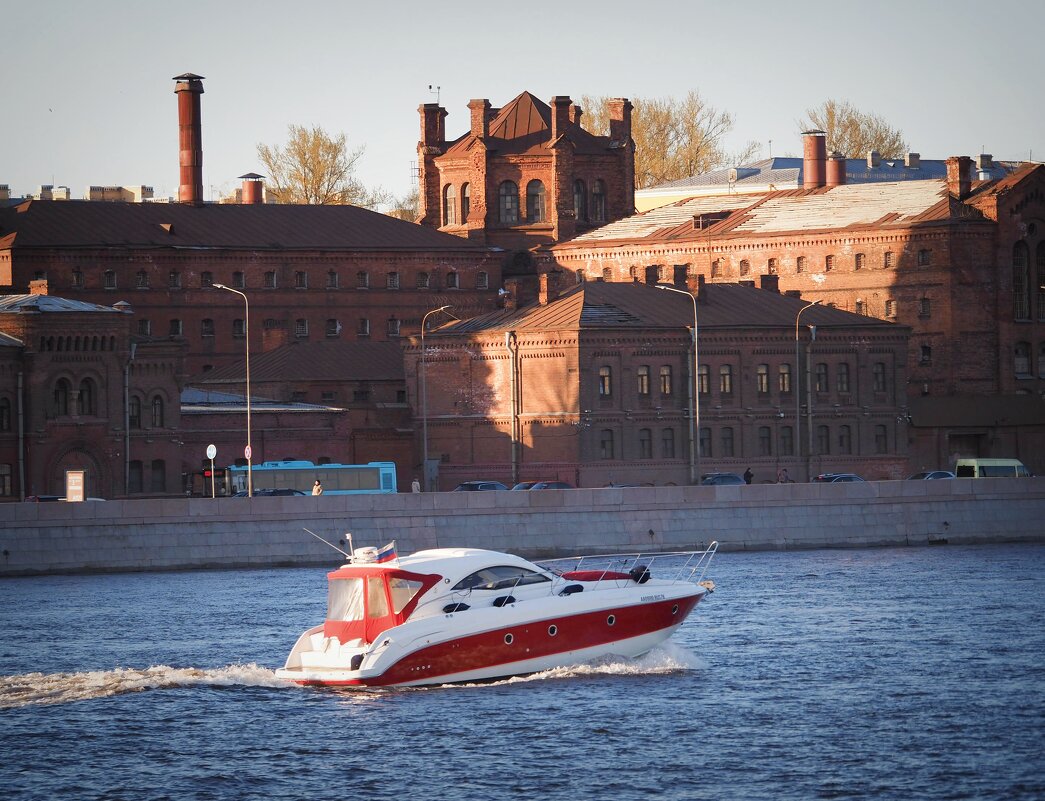 Свобода - Магомед . Свобода - Магомед .