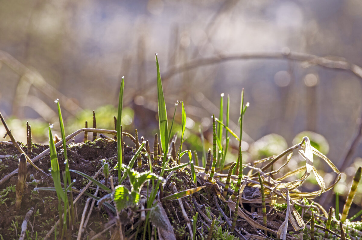 Солнечные обнимашки - Lyubov Busova