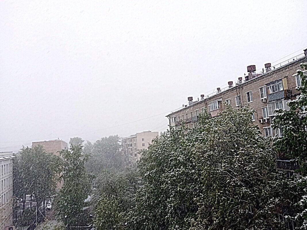 Снег в мае, 02. 05. 2025 г. - Владимир Драгунский