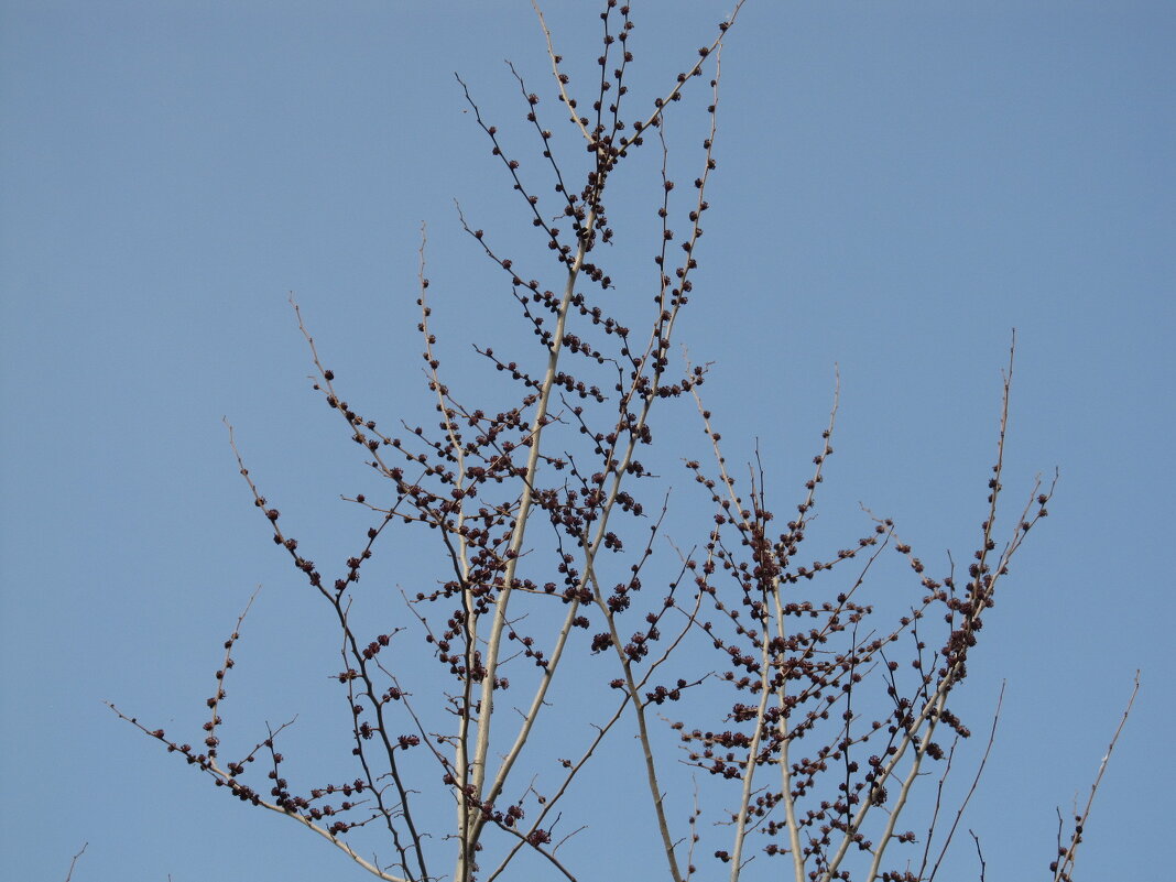 так начинался апрель - Елена Шаламова так начинался апрель - Елена Шаламова