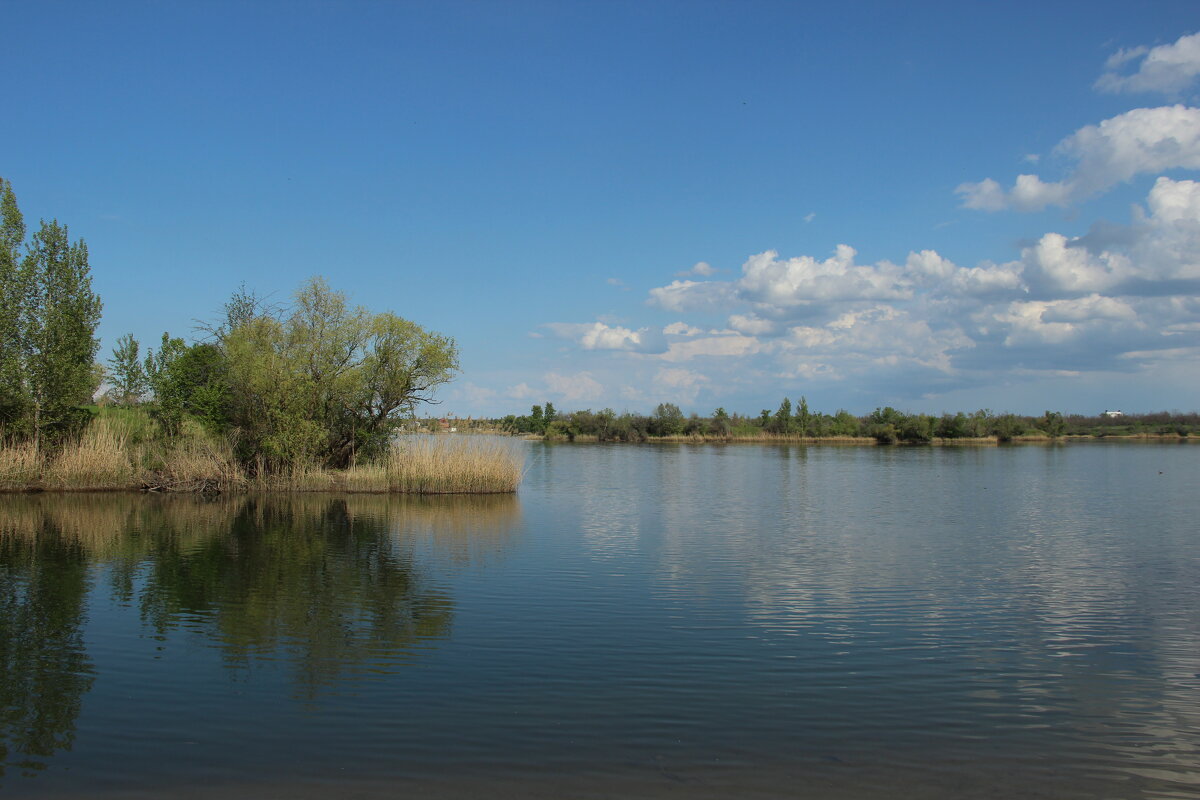 Донские зарисовки. - Виктор Донские зарисовки. - Виктор