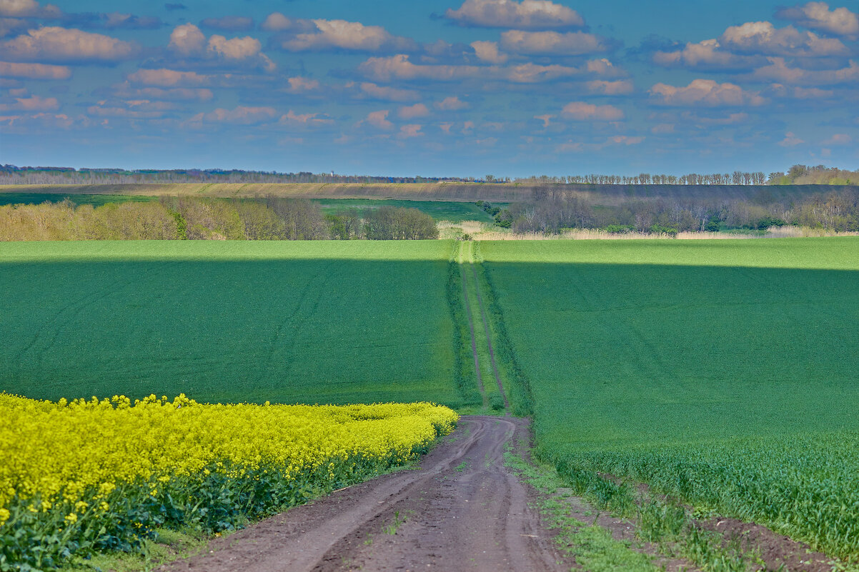 Дорога.... - Александр Посошенко Дорога.... - Александр Посошенко