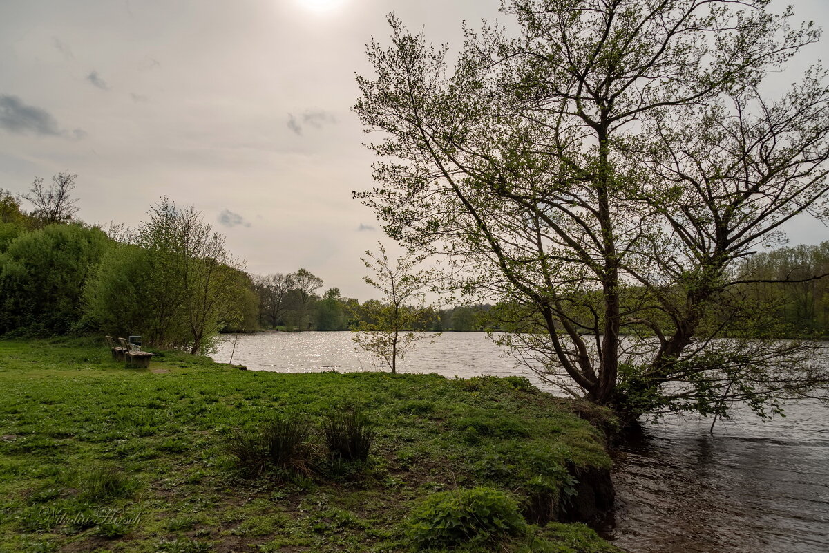 В апреле... - Николай Гирш В апреле... - Николай Гирш