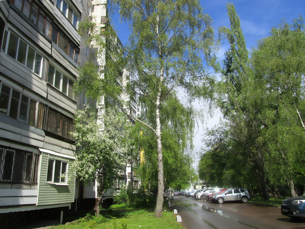 Городской пейзаж. - Ольга Довженко Городской пейзаж. - Ольга Довженко