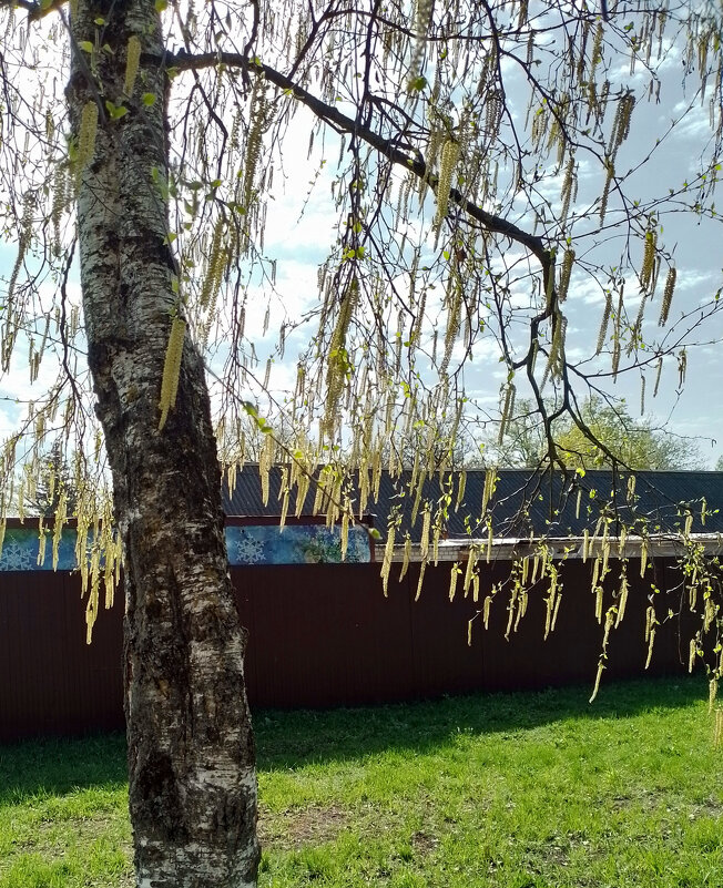 *** - Валентина Береснева