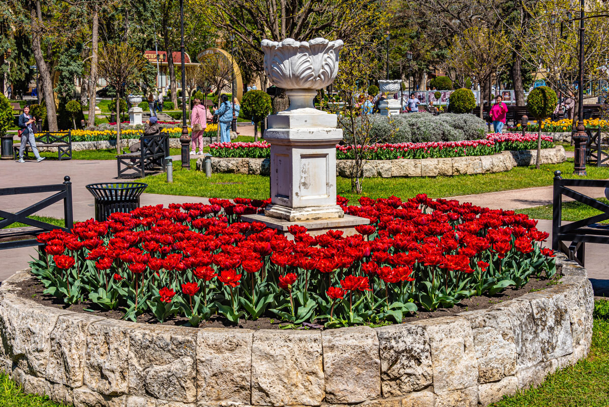 *** - Дмитрий Лупандин