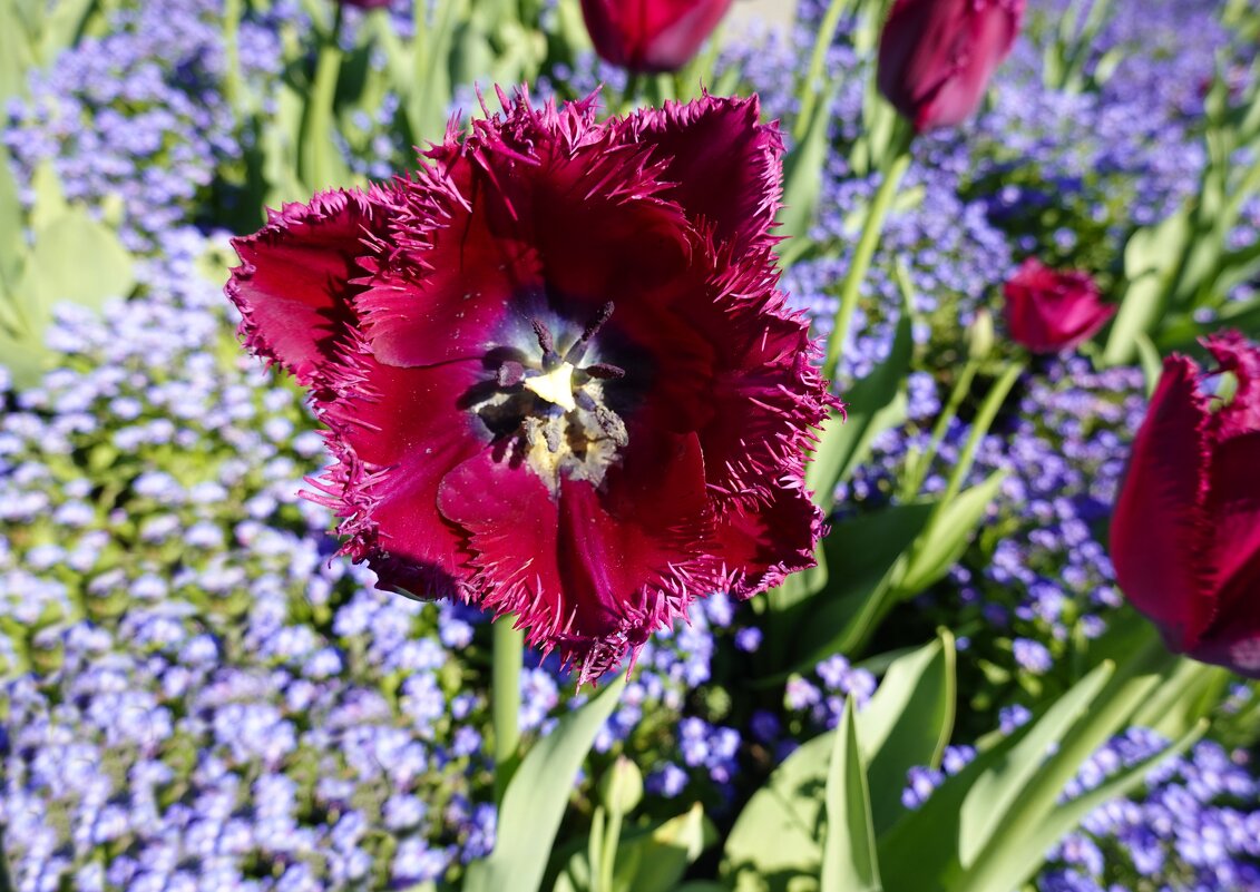 ... - Галина ... - Галина