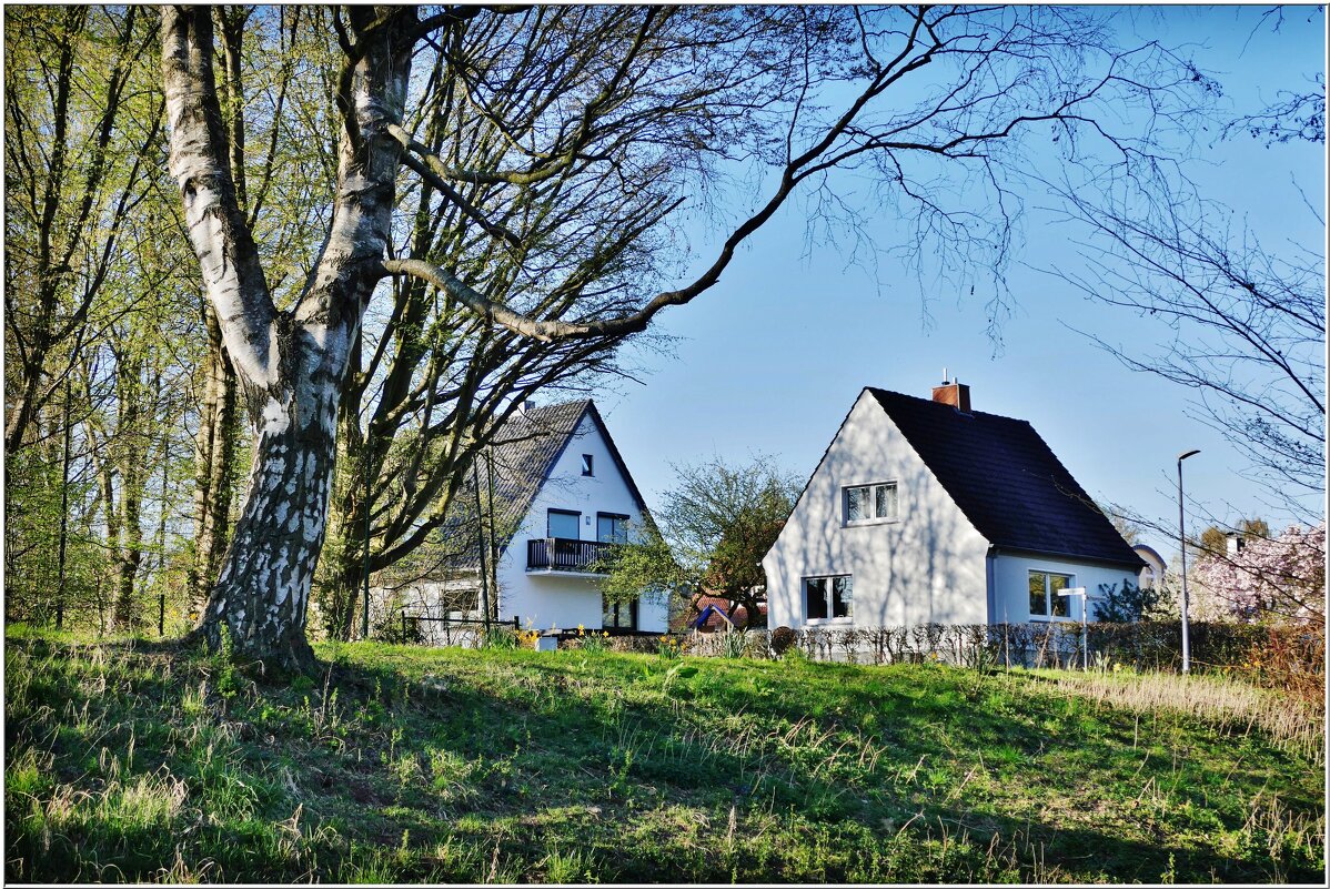 У КРОМКИ ЛЕСА... - Elvira E. 