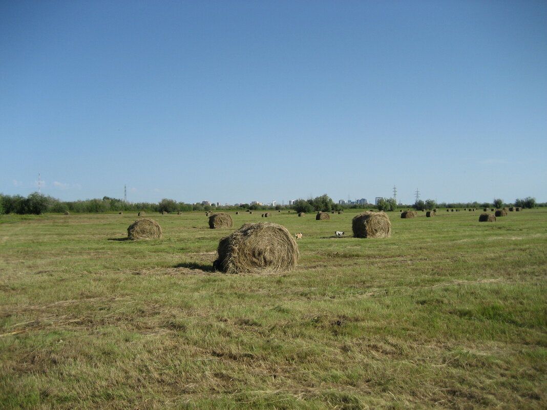 Уборочная пора - Anna Ivanova Уборочная пора - Anna Ivanova