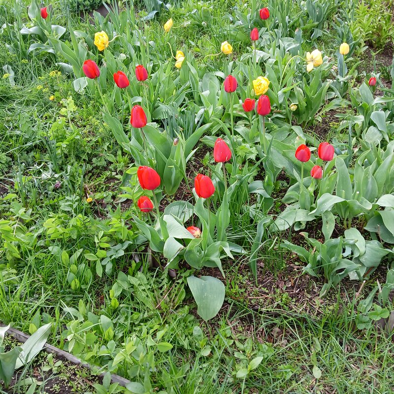 с праздником!!!!!!!! - Владимир 