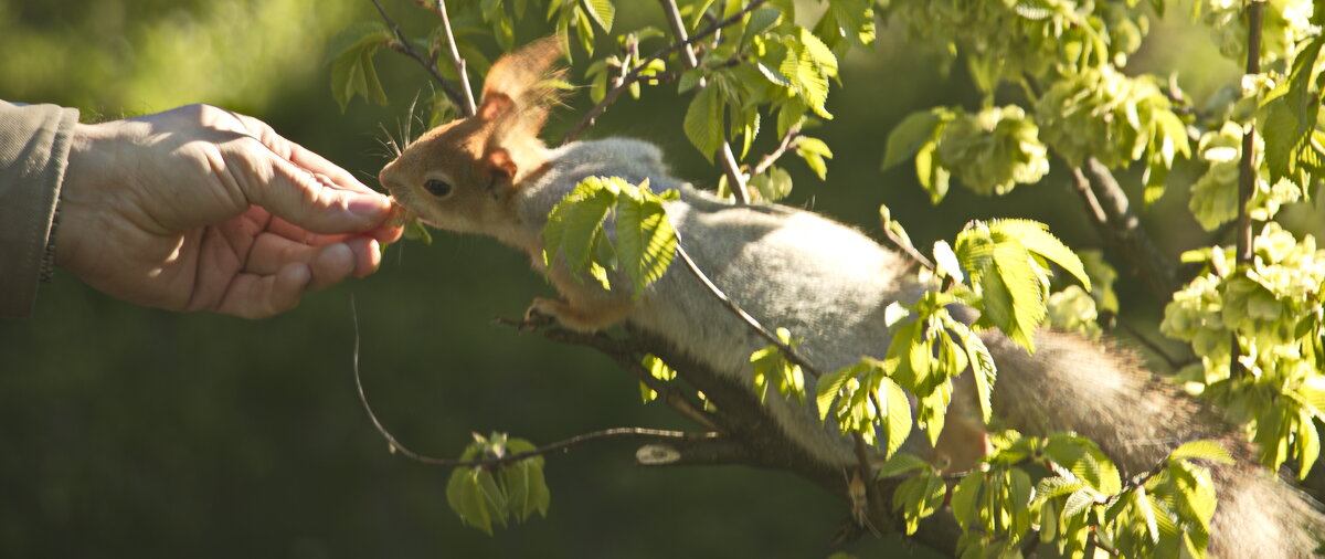 с рук вкуснее - Владимир Зырянов