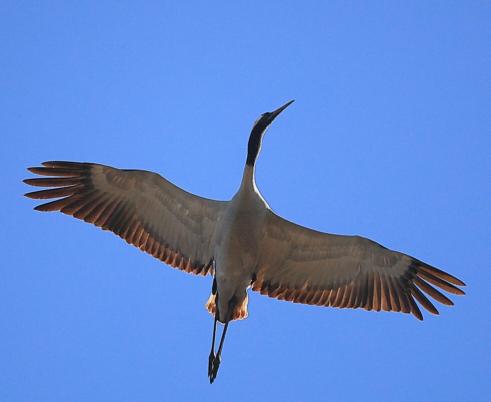 -/- - Владилен Панченко