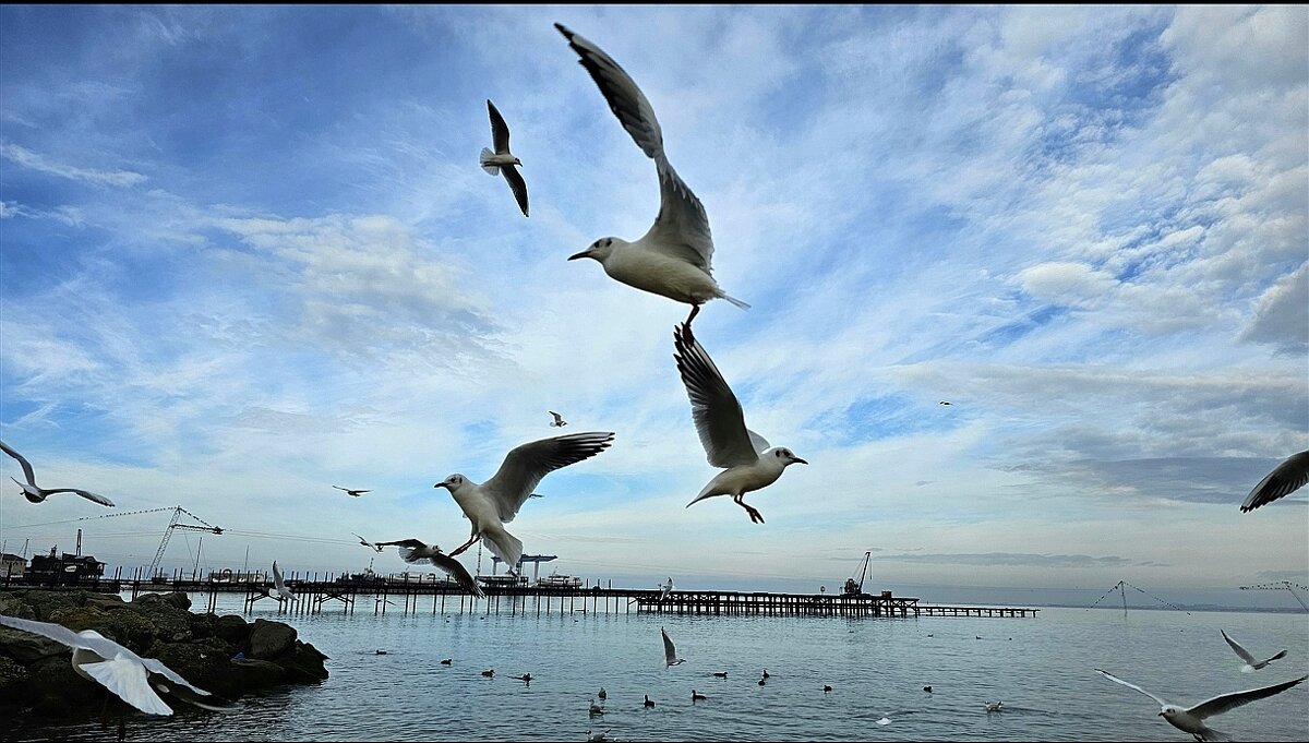 Мне бы в небо! - Светлана 13.06. Мне бы в небо! - Светлана 13.06.