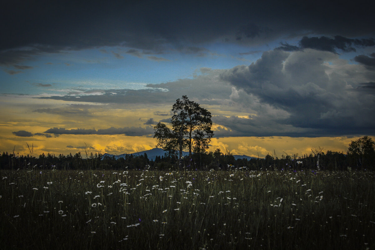 Летний пейзаж. - Георгий 