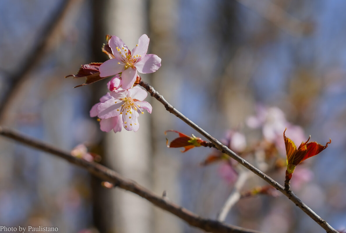 Пробуждение... - Владимир Жданов Пробуждение... - Владимир Жданов