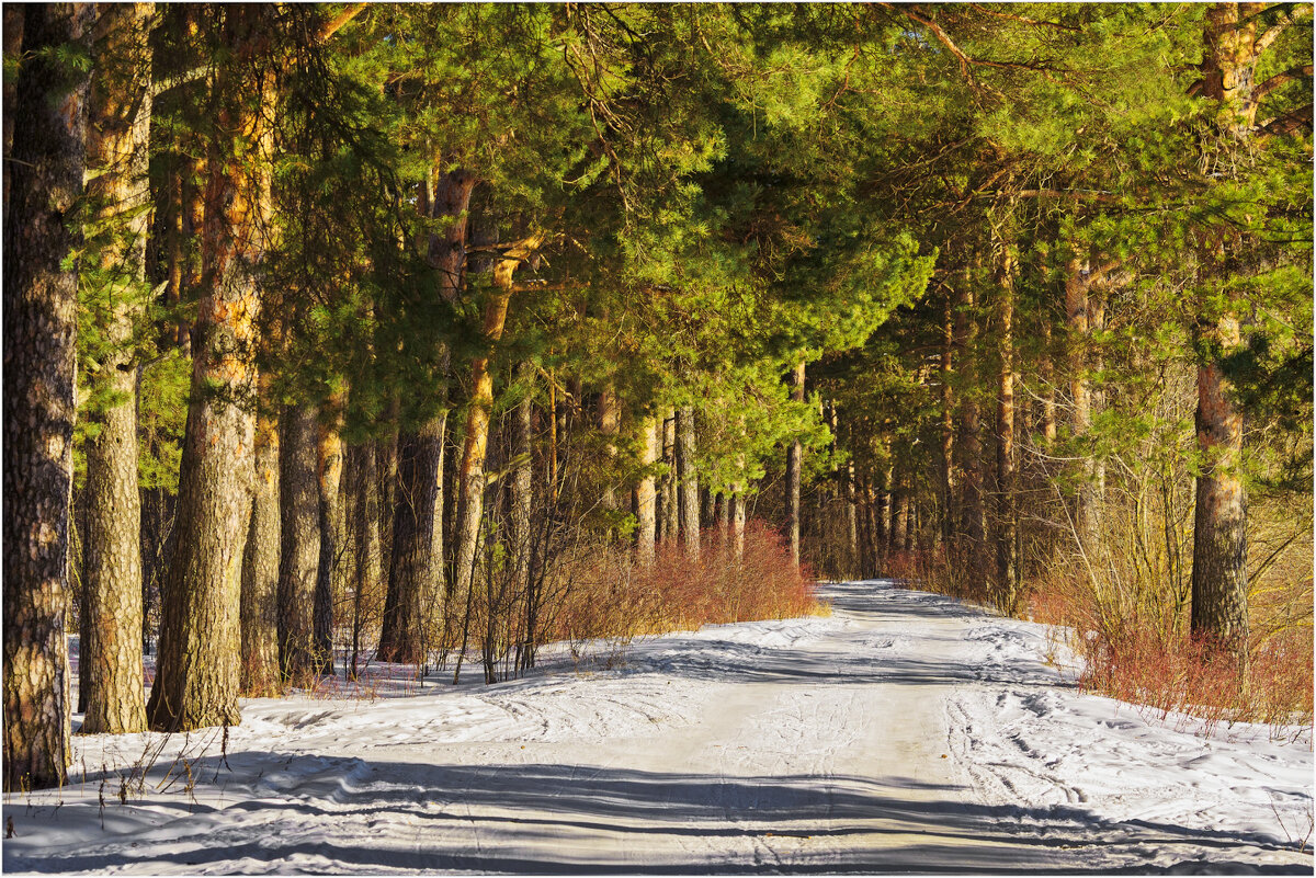 Зимний этюд - Валентин Котляров Зимний этюд - Валентин Котляров