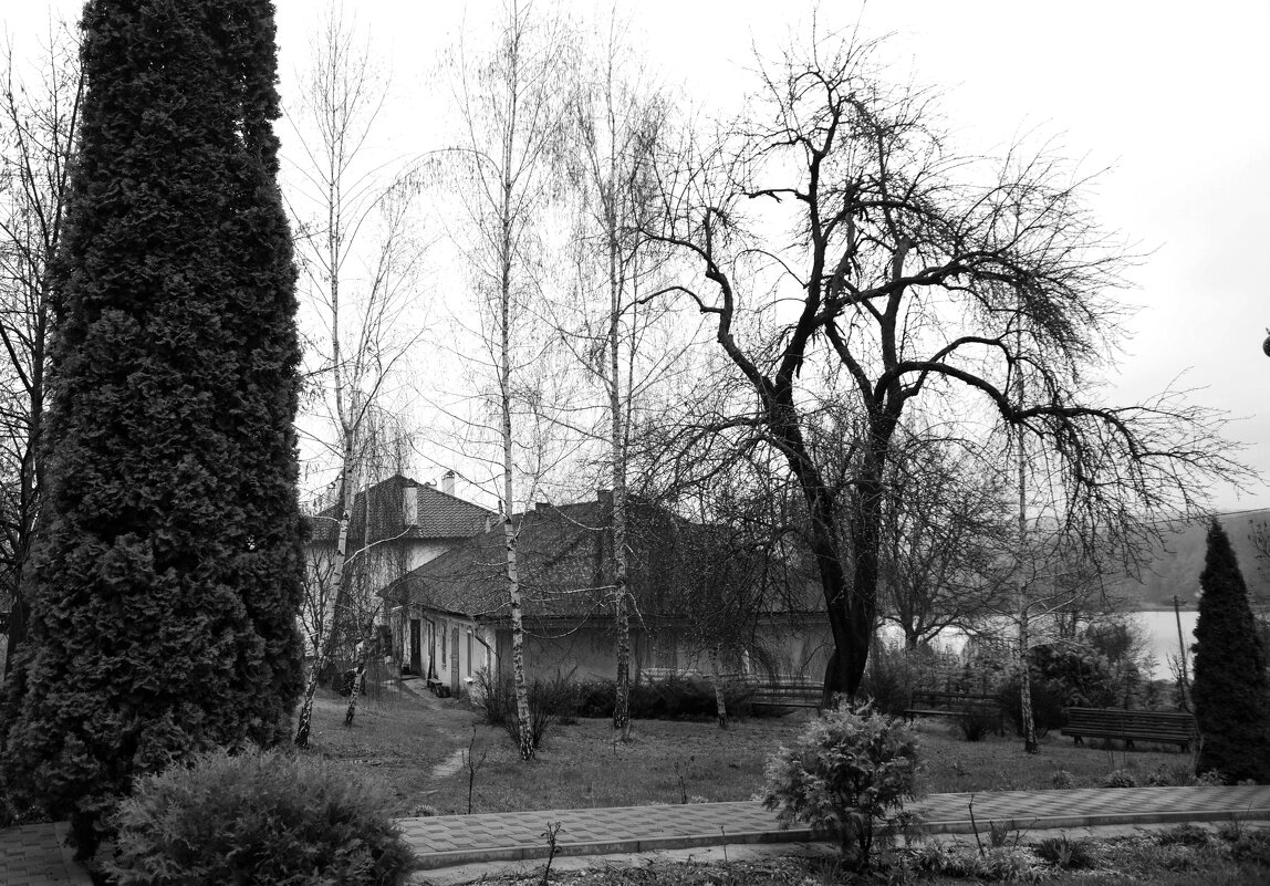 "-" - Светлана Фокша