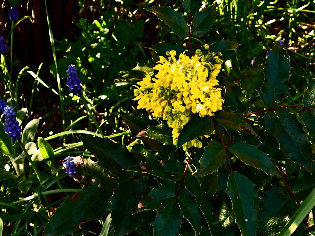 Весенние зарисовки 112 - Алексей Кузнецов